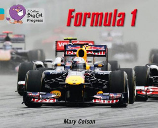 Buch Formula 1 Mary Colson