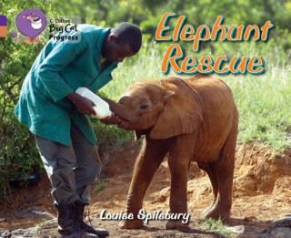 Kniha Elephant Rescue Louise Spilsbury