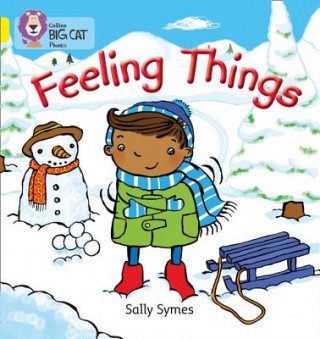 Knjiga FEELING THINGS Sally Symes