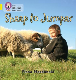 Könyv Sheep to Jumper Fiona MacDonald