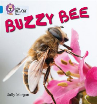 Książka Buzzy Bees Sally Morgan