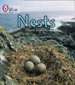 Könyv NESTS Elspeth Graham