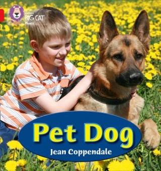 Könyv PET DOG Jean Coppendale