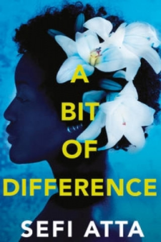 Könyv Bit of Difference Sefi Atta