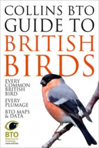 Książka Collins BTO Guide to British Birds Paul Sterry