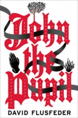 Book John the Pupil David Flusfeder