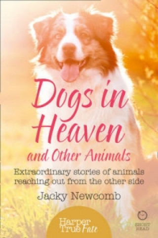 Book Dogs in Heaven: and Other Animals Jacky Newcomb
