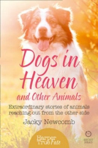 Buch Dogs in Heaven: and Other Animals Jacky Newcomb