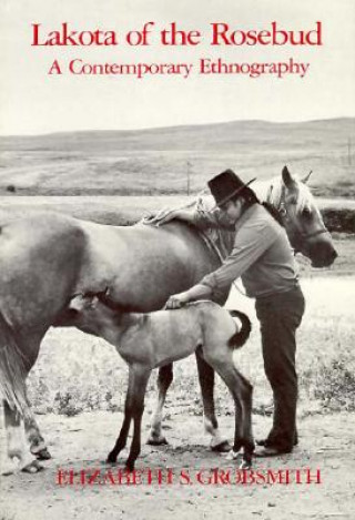 Kniha Lakota of the Rosebud Elizabeth Grobsmith