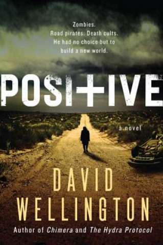 Buch Positive David Wellington