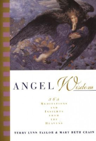 Книга Angel Wisdom Terry Lynn Taylor