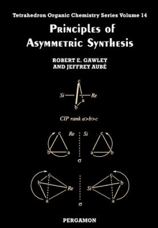 Kniha Principles of Asymmetric Synthesis Robert E. Gawley