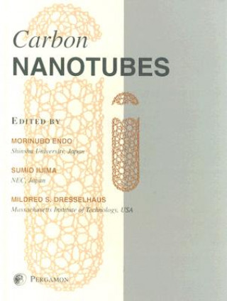 Könyv Carbon Nanotubes Morinobu Endo