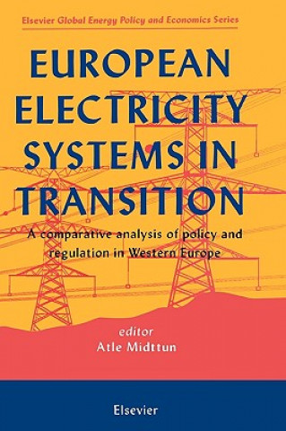 Kniha European Electricity Systems in Transition Atle Midttun