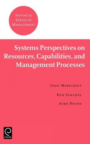 Buch Systems Perspectives on Resources, Capabilities, and Management Processes John Morecroft