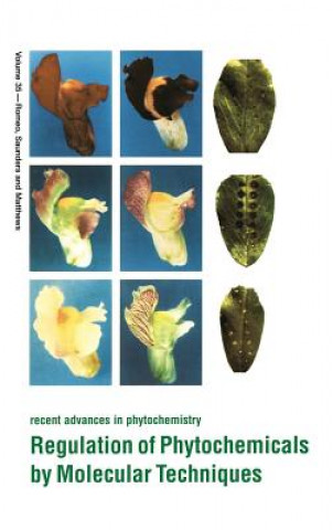 Kniha Regulation of Phytochemicals by Molecular Techniques James A. Saunders