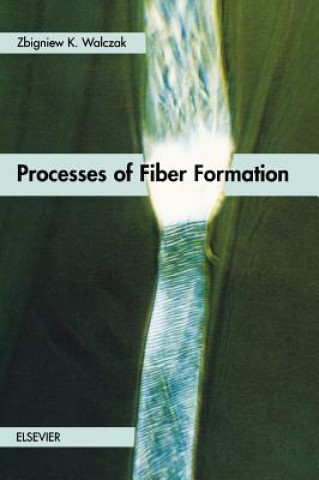 Könyv Processes of Fiber Formation Zbigniew K. Walczak