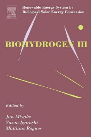 Kniha Biohydrogen III Matthias Rogner