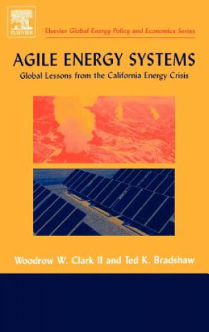 Carte Agile Energy Systems Ted K. Bradshaw