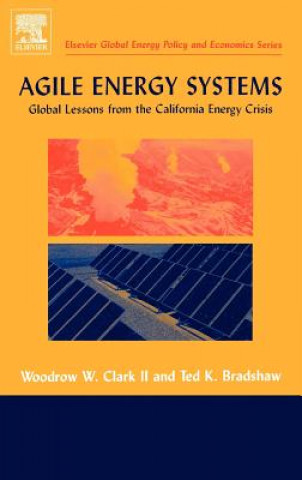 Book Agile Energy Systems Ted K. Bradshaw