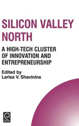 Kniha Silicon Valley North Shavinina