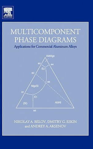 Kniha Multicomponent Phase Diagrams: Applications for Commercial Aluminum Alloys Belov
