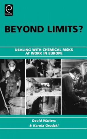 Knjiga Beyond Limits? David Walters
