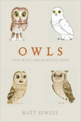 Knjiga Owls Matt Sewell