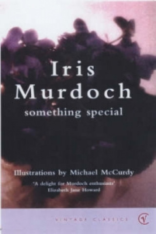 Kniha Something Special Iris Murdoch