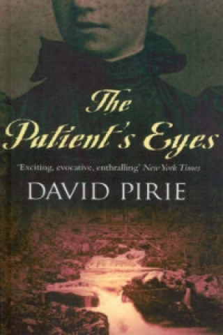Book Patient's Eyes David Pirie