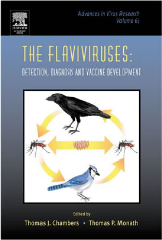 Kniha Flaviviruses: Detection, Diagnosis and Vaccine Development Thomas J. Chambers
