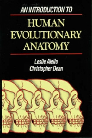 Libro Introduction to Human Evolutionary Anatomy Leslie C. Aiello