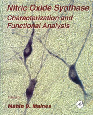 Książka Nitric Oxide Synthase: Characterization and Functional Analysis Mahin D. Maines