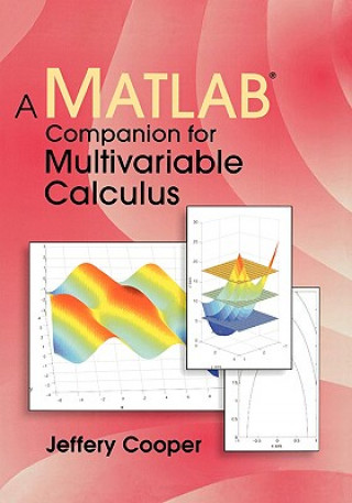 Könyv Matlab Companion for Multivariable Calculus Jeffery Cooper