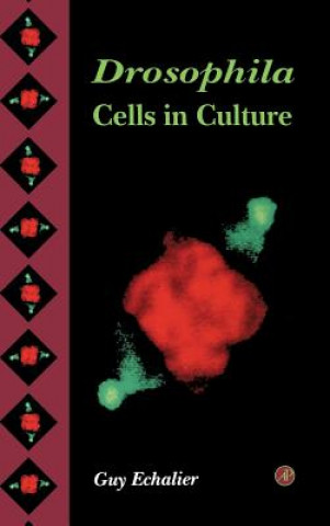 Könyv Drosophila Cells in Culture Guy Echalier