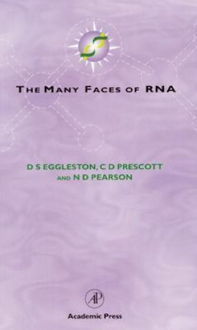 Könyv Many Faces of RNA D. S. Eggleston