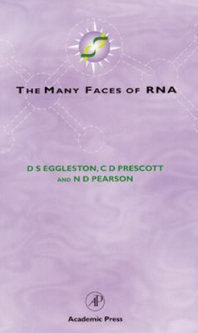 Book Many Faces of RNA D. S. Eggleston