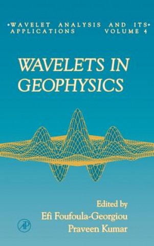 Książka Wavelets in Geophysics Efi Foufoula-Georgiou