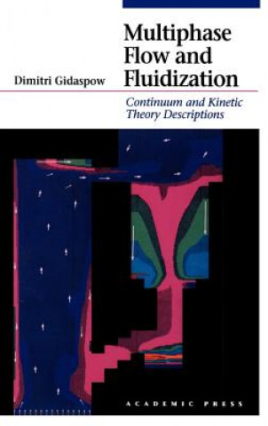 Knjiga Multiphase Flow and Fluidization Dimitri Gidaspow