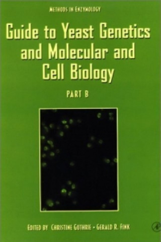 Książka Guide to Yeast Genetics and Molecular and Cell Biology, Part B 