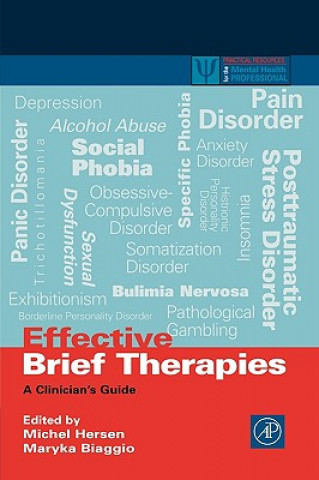 Kniha Effective Brief Therapies Michel Hersen