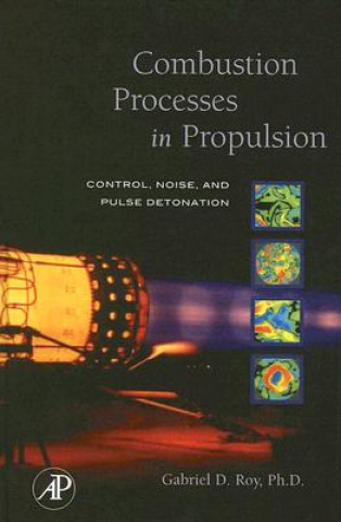 Knjiga Combustion Processes in Propulsion Gabriel Roy