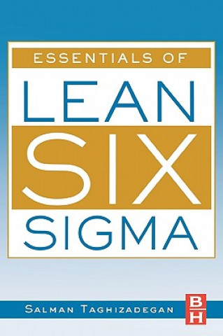 Kniha Essentials of Lean Six Sigma Salman Taghizadegan