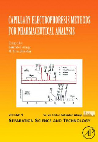 Kniha Capillary Electrophoresis Methods for Pharmaceutical Analysis Satinder Ahuja