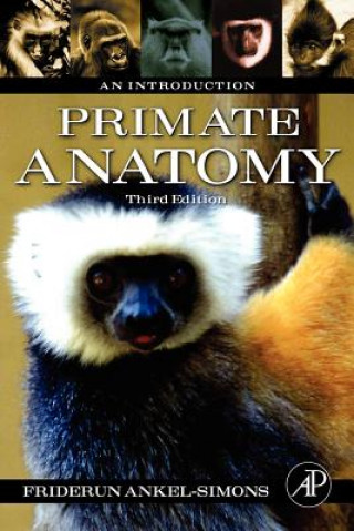 Kniha Primate Anatomy Friderun Ankel-Simons