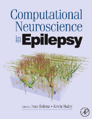 Kniha Computational Neuroscience in Epilepsy Ivan Soltesz