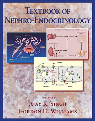 Carte Textbook of Nephro-Endocrinology 