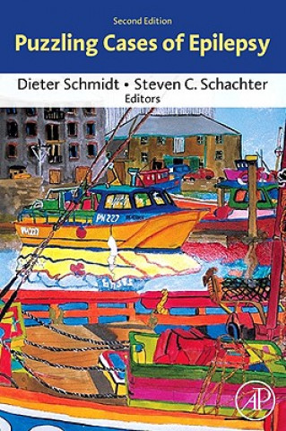 Book Puzzling Cases of Epilepsy Dieter Schmidt