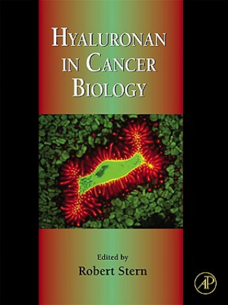 Kniha Hyaluronan in Cancer Biology Robert Stern