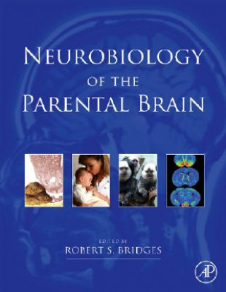 Książka Neurobiology of the Parental Brain Robert Bridges